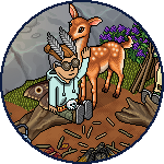 CIR_Lote Caminata por el Bosque